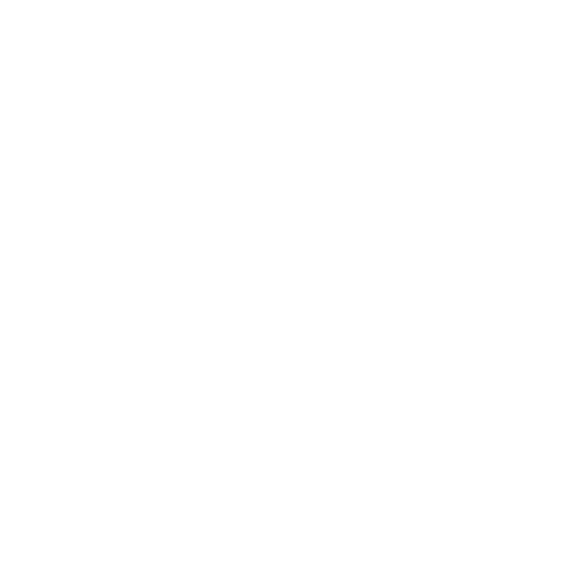 Rally